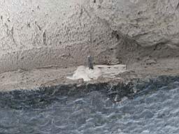 acastle 184200.jpg